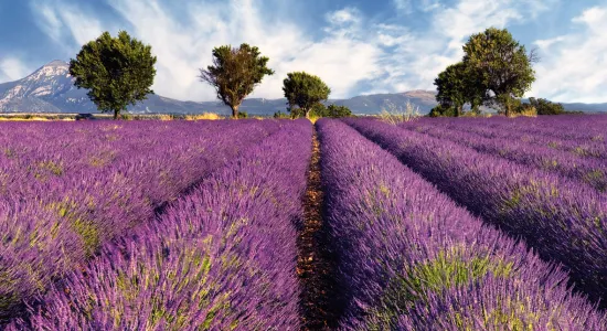 Francia paisaje